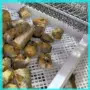 油炸鲅鱼鱼类油炸线