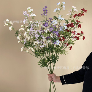 ���Q��c��Ʒ��֧���_�m��Y�����߻��ļٻ��Ƶ겼���m���ٻ����l