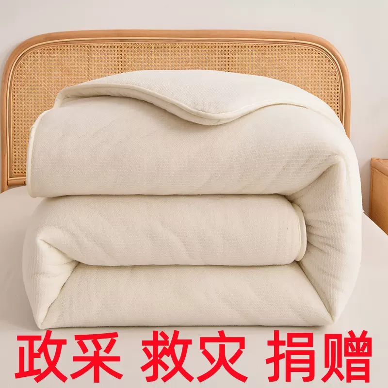 新疆棉花被芯被胎全棉被子棉絮床垫子民政救助赠送春秋被加厚冬被