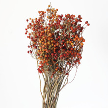 �ɻ��Nޱ���r��ɽ�w��С�t���ɹ��tɫ�������}�Q��diy�������l