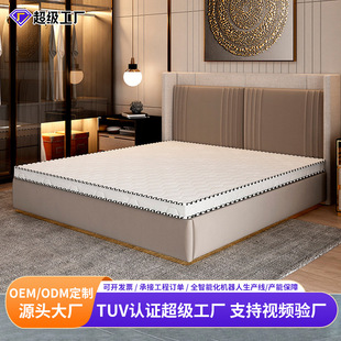 Mattress Double Household Five-Star Hotel Hotel Coconut Palm Mat Economical Homestay Tatami Palm Spring Mat