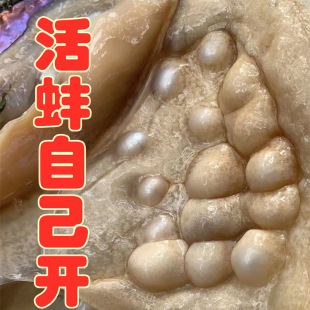 �T������Ӱ��Bֳ�۵�������������ξ��^�Ӱ�����˰���������l