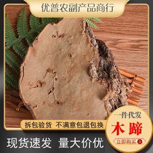 木蹄层孔菌 中药材长白山木蹄灵芝真菌灵芝木蹄灵芝 林芝 量大从