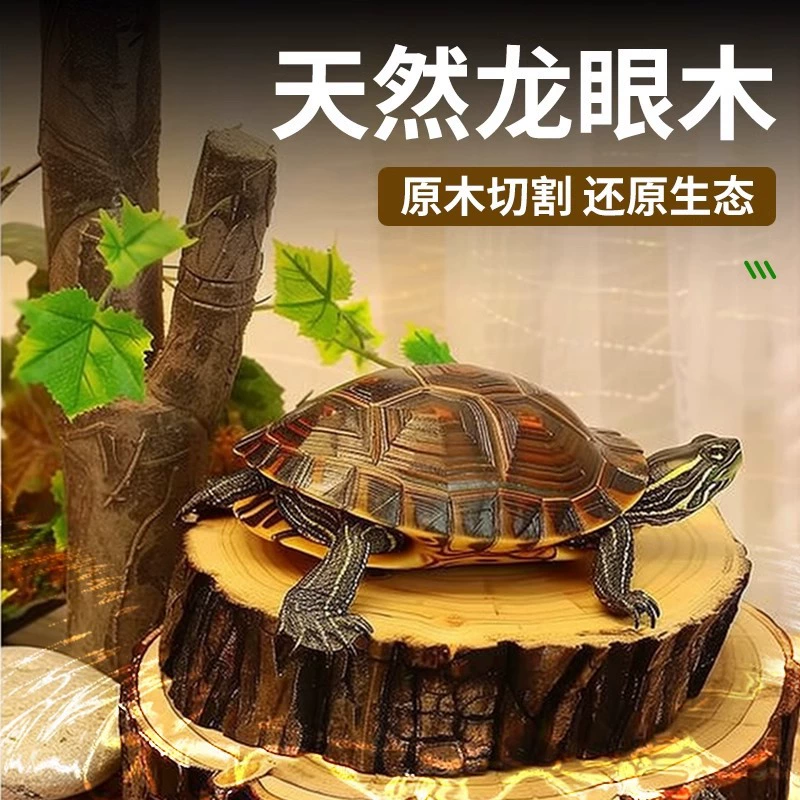 Черепаха натуральный лонган для загара