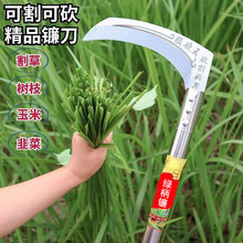 砵������חU�����r�ÿ������������ݵ�砵���ݹ�������砵�