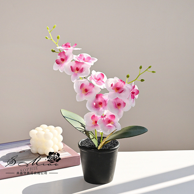 12 flores Phalaenopsis planta en maceta flor de simulación creativa decoración de estudio fotográfico para el hogar decoración planta verde artificial simulación planta en maceta