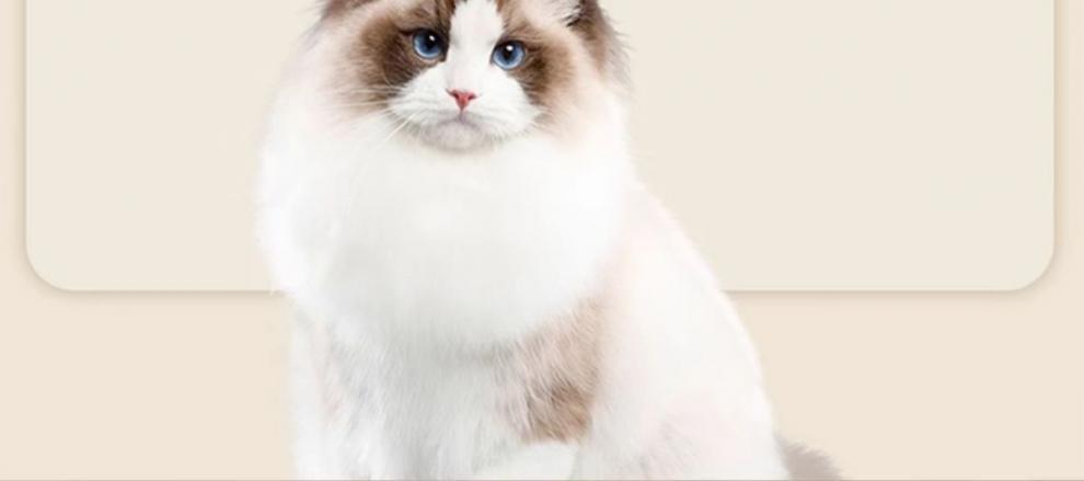 c5232b17-0c36-4fa6-9efe-12e238134b12.jpe