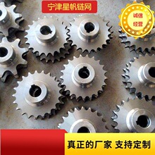 Srp݆ʳƷaW朾WP304݆