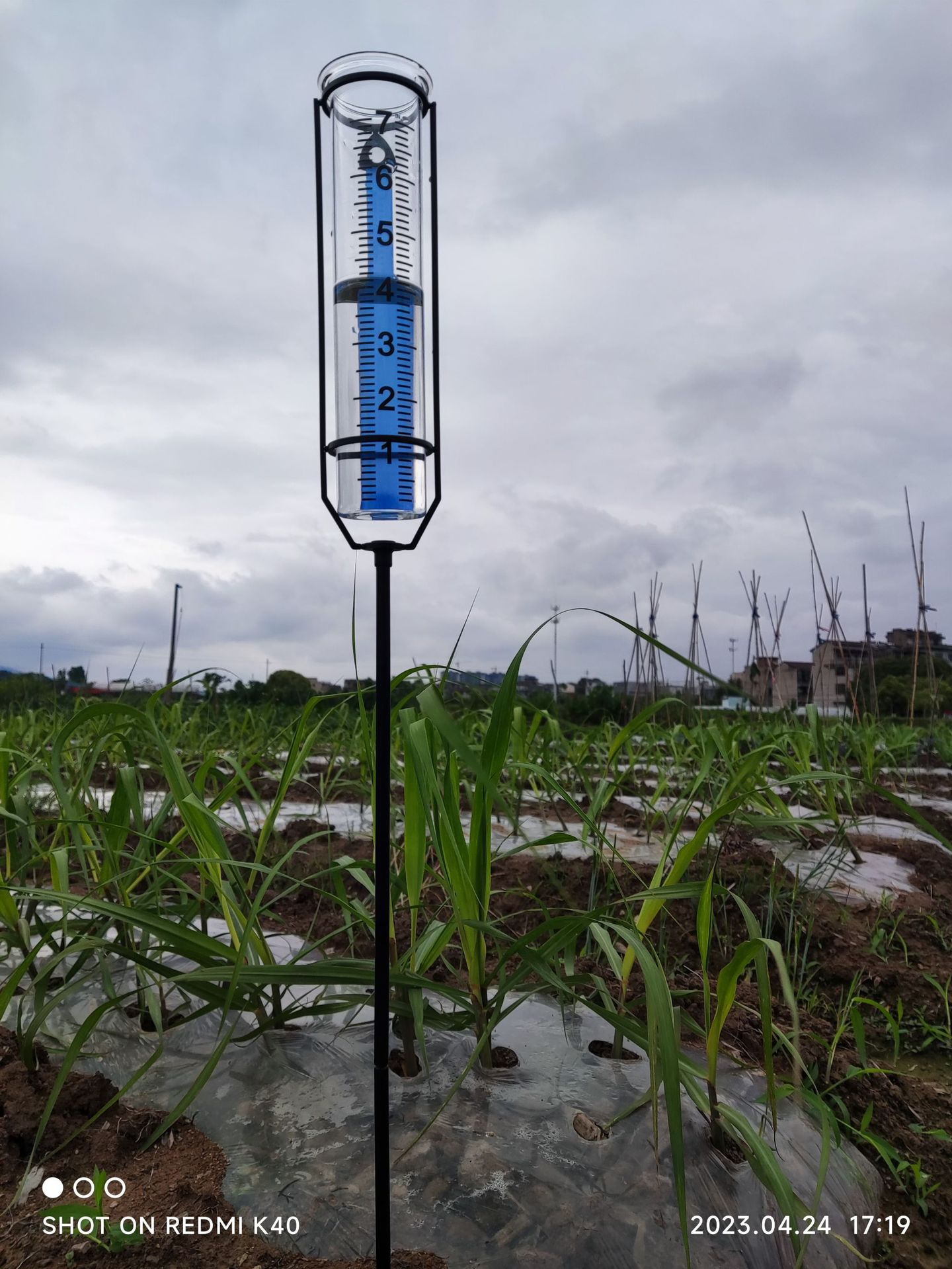 O1CN01bh91ff1qLtHwEaoUf_!!2212298175480-0-cib.jpg?__r__=1686471628178