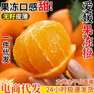 �Ĵ����¹�����һ�����l���³���ˮ���������38̖�����������l