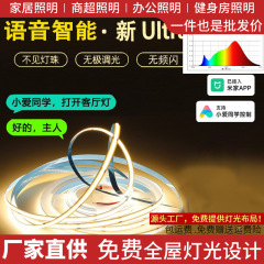 已接入米家APP智能cob灯带双色温语音极调光客厅双眼皮线形灯顶