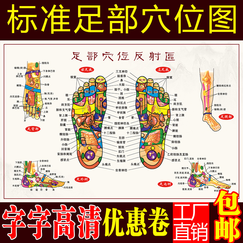 Foot Massage Acupoint Diagram, Foot Reflex Zone Large Wall Chart, Human Foot Meridian Acupoint Diagram, Wall Chart, Promotional Wall Chart