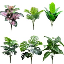 ���R�d�羳�Gֲ��ˮ�ۼt�ľG�_�z�~�Ҿ��b����Ԉ@�־��^���l����