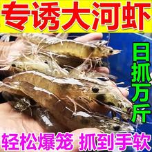 河虾诱饵抓小龙虾饵料黑坑池塘淡水诱捕河虾抓虾小药爆笼工厂批发