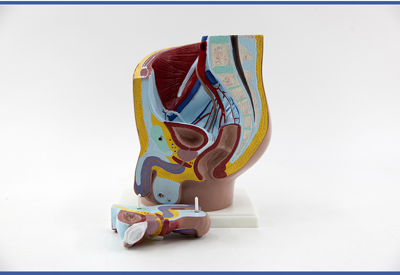 O1CN01GsGgKd2Kk6Xm4QU2m_!!3578