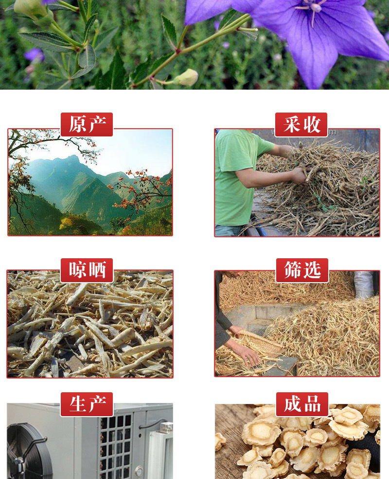 Jie Geng Slices (Platycodon grandiflorus) — Dried Food Herb for Tea & Soup, 500g quality and texture