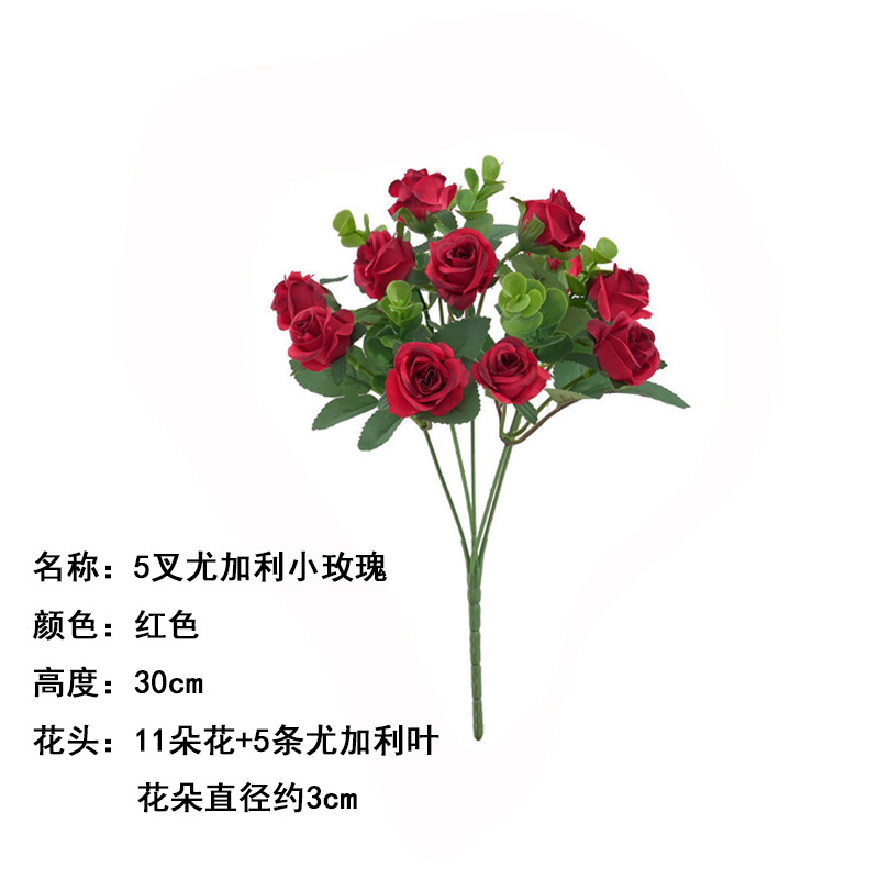 5 포크 유칼립투스 리틀 로즈 레드