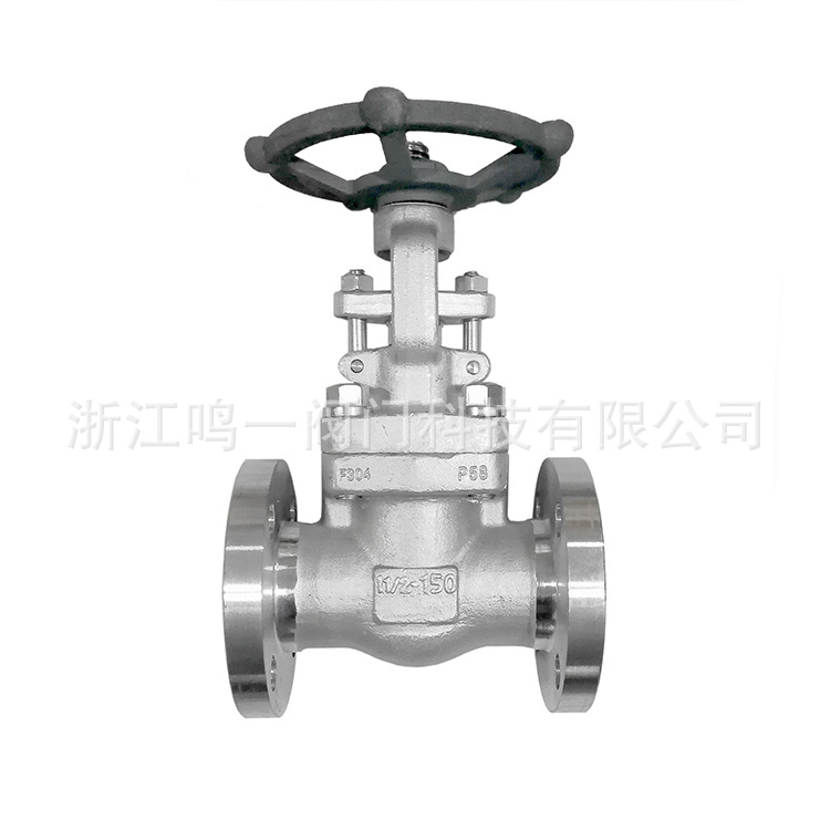 锻钢整体锻造法兰闸阀不锈钢连体法兰闸阀F304一体式法兰闸阀Z41W