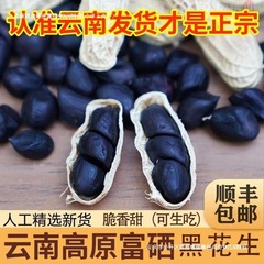 【送料無料】雲南名物2024年新鮮な殻付きセレン豊富な黒落花生新到着袋詰めマルチフレーバーピーナッツ包装