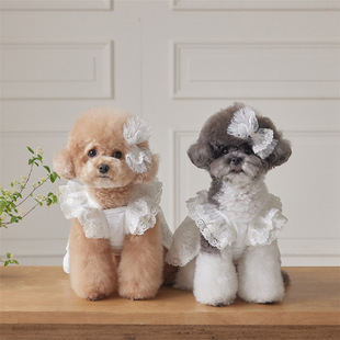 2025 Pet Dog Cat Clothes Spring and Summer Cotton Lace Dress Matching Headwear Hairpin