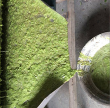 ʽJSե֭CAȥ˹xCâtȥ˴{C