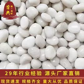 沙石砾石
