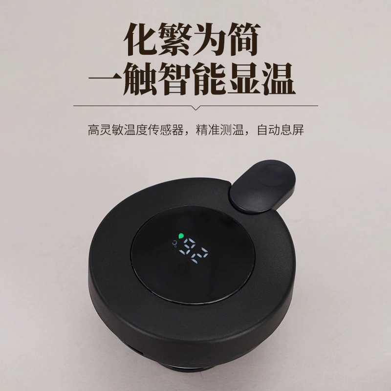 Smart teapot stainless steel, thermos, tea, (Physicals)