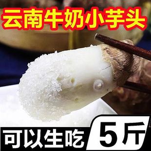 �����]������Ŵ�����������ë���^ţ��С���^���r�F����ܵ����