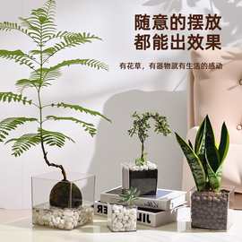 透明亚克力方形花盆水培绿植郁金香多肉花瓶方缸器皿摆件仿玻璃小