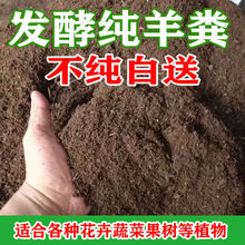 纯羊粪发酵有机肥土花肥蔬菜果树肥料养花农家肥