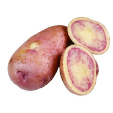 ����߲������a��ֱ�l�����t���������]���r�߲˼t������һ�����l