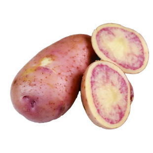 ����߲������a��ֱ�l�����t���������]���r�߲˼t������һ�����l