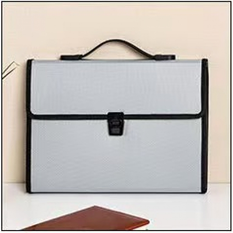 Custom Large-Capacity Transparent Simple Organizer File Fold