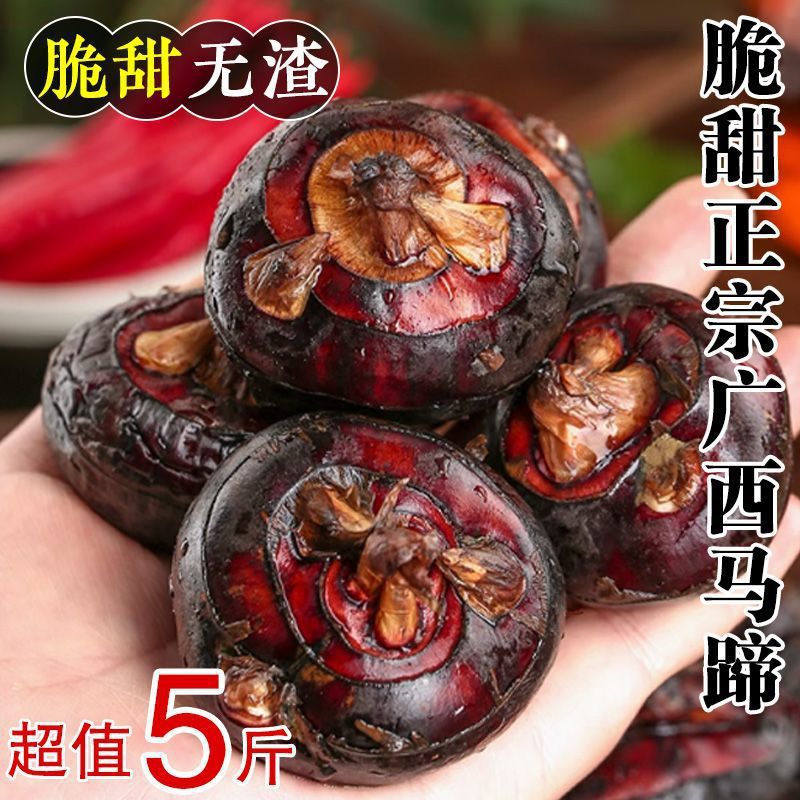 Fresh Water Chestnuts from Guangxi Farms, Specialty with Mud, Extra-Large Vegetables, Juicy Pears, Seasonal Fruits, Freshly Dug