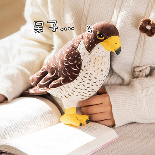 �¿���������ë�q��߸�ք��ﱧ��Ů�������ޏS��ֱ�N�B�Lë�q