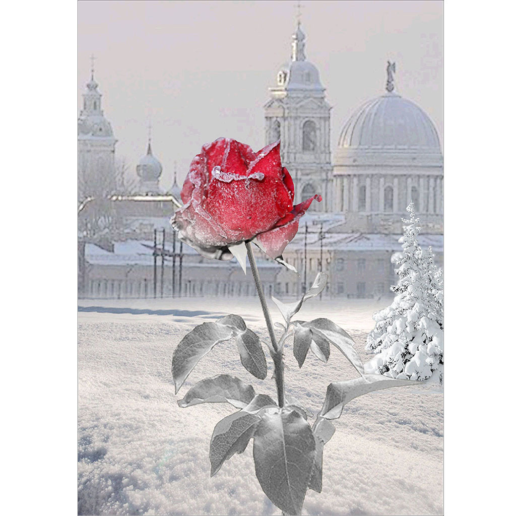Diamond Painting Rose