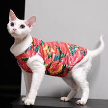 �oë؈�·��ﶬ�Ӻ�ů���bϲ�c�|�����\˹�ҿ�˹����؈���·�