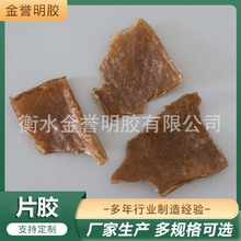 厂家现货供应动物牛胶片骨胶冶炼电解牛胶高粘度牛胶片