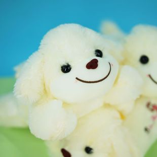 ���㹷ſſ��С�׹�ë�q��߹������նY���ʿ�湫�мҾ�܇�d����