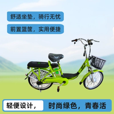 20 Inch 48V Lithium Battery Electric Bicycle Long Range Electric Moped Electric Motorcycle Electric Bicycle