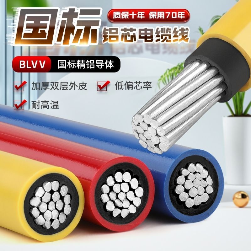 国标正品铝芯电缆工程铝线BLVV10/16/25/70/95平方单芯双皮铝电线