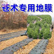 地膜中草羊肚菌农薄苍术有洞棚打孔防大鹏黑免种植银盖菜药材