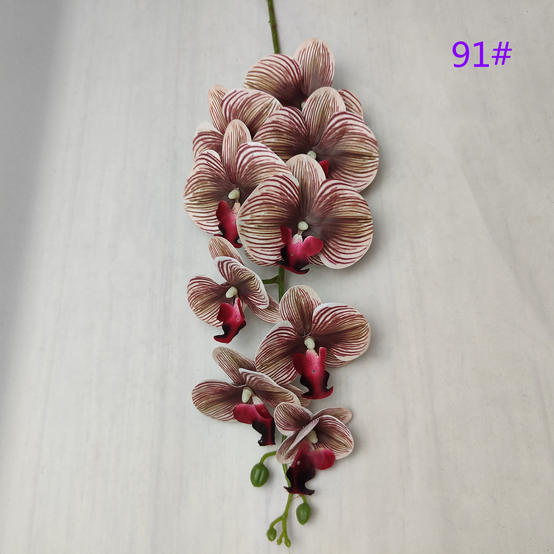 IMG20230509162808_副本