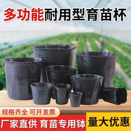 塑料一次性黑色育苗袋批发营养杯育苗杯种植盆塑料育苗盆营养钵