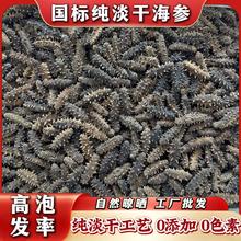 【口粮参】国标纯淡干海参深海渤海湾刺参160-200头/斤