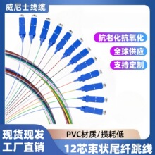 12芯束状尾纤SC/FC/LC/ST猪尾缆12色0.9彩色3.0光纤 跳线低损耗