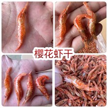 �ѻ��r�� �ؔ�������l�t�r�ɸ��r�rƤС���r��