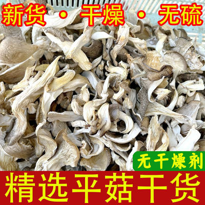 新貨平菇幹貨500g幹蘑菇類食用白菇幹平菇絲條鳳尾菇批發壹件代