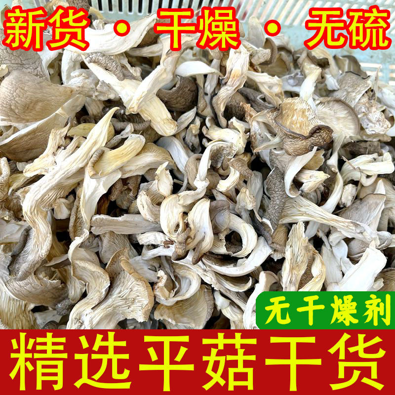 新貨平菇幹貨500g幹蘑菇類食用白菇幹平菇絲條鳳尾菇批發壹件代