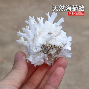 ���ո���Ȼ��ɫ����ؐ���ղؘ˱��[���~��ˮ���bջ�ƫ�ڸ����l